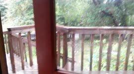 PNW Storm Hits My Home -- Irondale, WA Trampoline Bouncing Itself, Wind Whipping Trees