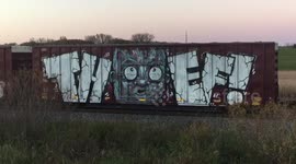 Elaborate Train Graffit