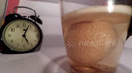 24-hour timelapse of egg in a glass of vinegar