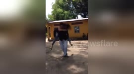 Newsflare Edit - Girl failed to keep her balance