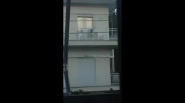 strange dove