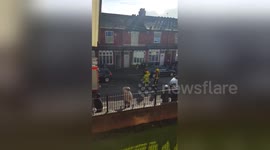 Newsflare Edit - Part 2 house fire. Park Lane East. Tipton