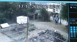 He stole a dog from the animal shelter for her boy (CCTV)
