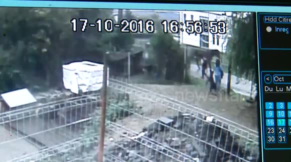 He stole a dog from the animal shelter for her boy (CCTV)