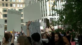 Pussy Grabs Back, Chicago - RAW VIDEO 1