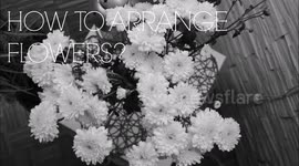 How to Arrange Flowers In a Vase Life Hack