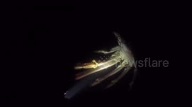 Footage of the moment fishermen caught GIANT lobster