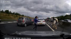 Horse loose on Dublin motorway