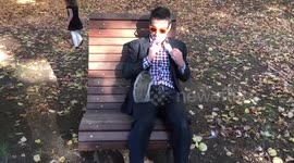 Adorable squirrel sits on man's lap