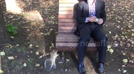 Newsflare Edit - Adorable squirrel sits on man's lap