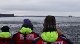 Close encounter with feeding Humpback Whale
