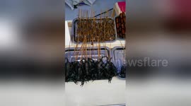 Newsflare Edit - Disgusting food from China: centipede, scorpion, lizard, spider...