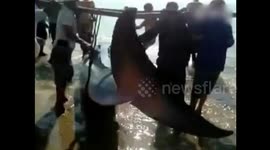 Villagers rescue stranded whale on Chinese beach