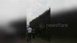 Newsflare Edit - Por robar les cortan las manos a varios hombres en guadalajara jalisco mexico