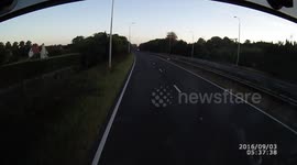 Oncoming car on wrong side of motorway