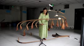 Woman performs amazing 'Sanddorn-balance' act