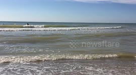 Waves