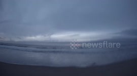 Woman rescues shark stranded on beach