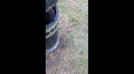 Test youtube