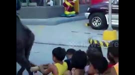 Father takes his ten kids to fast food drive through riding a buffalo