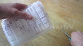 DIY Halloween Bristlebot