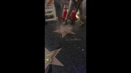 Donald Trump Star Destroyed