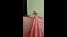 wake up lazy