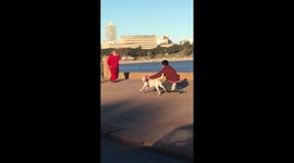Excited dog tows owner along on skateboard