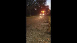 Donald Trump on School Bus by Joel Craig