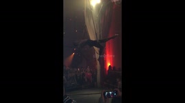 Halloween circus party trapeze artist