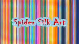 Spider Silk Art