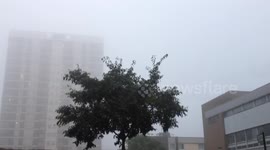 Fog london