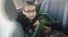 Boy's relationship with pet duck is adorable