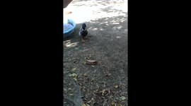 Nibbles 4 months old