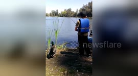 Newsflare Edit - Who takes their pet duck on fishing trips?? WE DO!!!