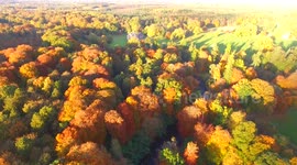 Beautiful autumnal drone footage
