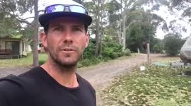 Kangaroos' line up outside caravan for food in Australia