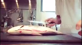 Amazing tutorial on how to fillet a fish michelin star style!