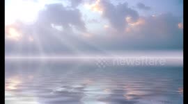 Serenity Now