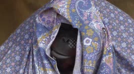 Orangutan uses duvet to escape the cold weather