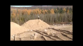 Shooting a Bald Eagle