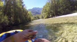 Good samaritan rescues bird trapped in a fishing line