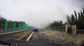 Lorry crash leaves thousands of fish all over motorway
