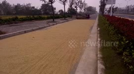 Villagers dry crops on road in southern China