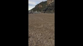 Running around Lusty Glaze beach with the chihuahuas... Love Cornwall!