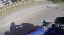 BIKER HELPS CAT IN ROAD