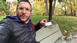 Squirrel takes man's business card