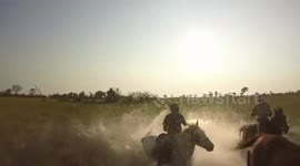 Lion attacks riders on 'horseback safari'