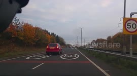 Horses Running Up The Motorway ???? WTF