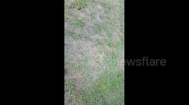 Newsflare Edit - Test youtube